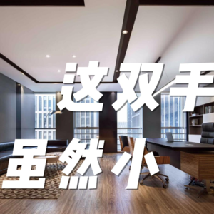 亦舒作品第三期：这双手虽然小