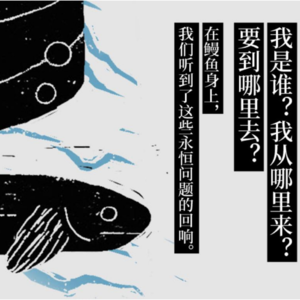 04.《鳗鱼的旅行》:一场对于生命意义的探寻|我是谁?我从哪儿来?要到哪儿去?