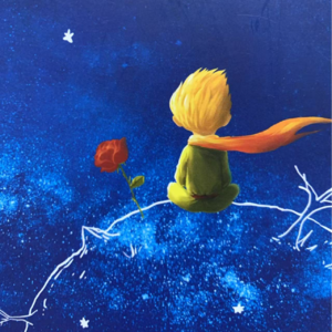 VOL.1 《小王子》阅读记. 第一章