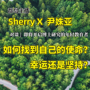 29. 如何找到自己的使命?幸运还是坚持?