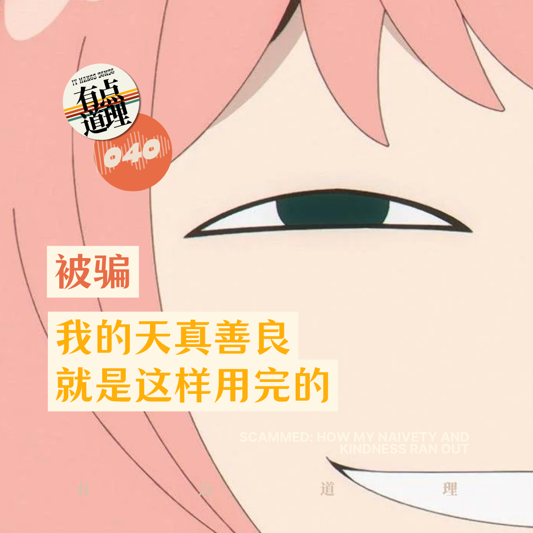 040. 被骗：我的天真善良就是这样被毁掉的 episode artwork