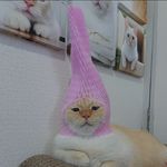 宇宙島民kkk