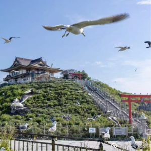 Vol.7 青森 | 耶稣都想来定居的北国秘境