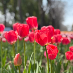 67 - so called独立女性，真正闲暇的时候在干嘛