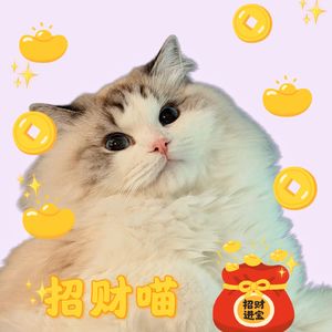 万橡