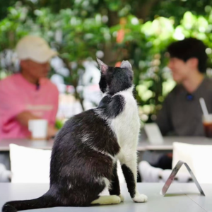 EP9.对话王佳俊｜“别丢了玩性”用松弛感解构人生