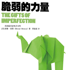 《脆弱的力量》下丨这本书真的教会了我，接纳自己