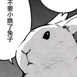 不要小瞧了兔子