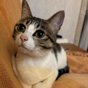 LT+小雨：白天属于老板，深夜属于自己？