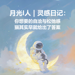 月光I人 | No.12 - i人灵感日记：你想要的自洽与松弛感，猫其实早就给出了答案