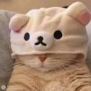 迟到许多年