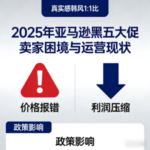 亚马逊黑五又 “翻车”！ 卖家：一边调价一边等单