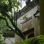 07 和成庆聊天台山：一座山，为什么能安顿一千年的人心？