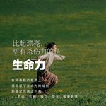 高敏感自我养育