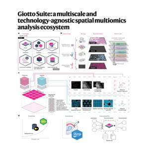 134-Giotto Suite: Spatial Multiomics Data Analysis