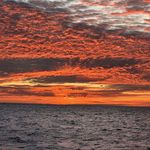 川味熟醉大闸蟹