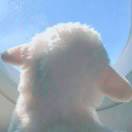 Dreamin_T3YA