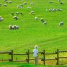 Adobe逢考必过版