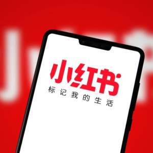 小红书拿下支付牌照,背后意味着什么?