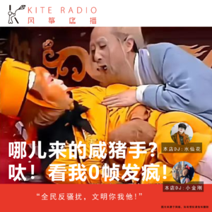 Vol.98| 哪儿来的咸猪手?呔!看我0帧发疯!