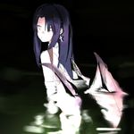 水乃茑萝