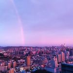 甜粽子来一个
