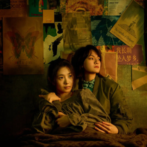 去看想飞的女孩，就知道阿诺拉为啥得奖了