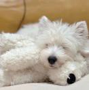 捉到一只大宝儿