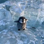 悠悠-我们做的对