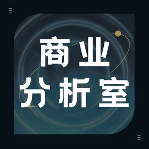 商业分析室