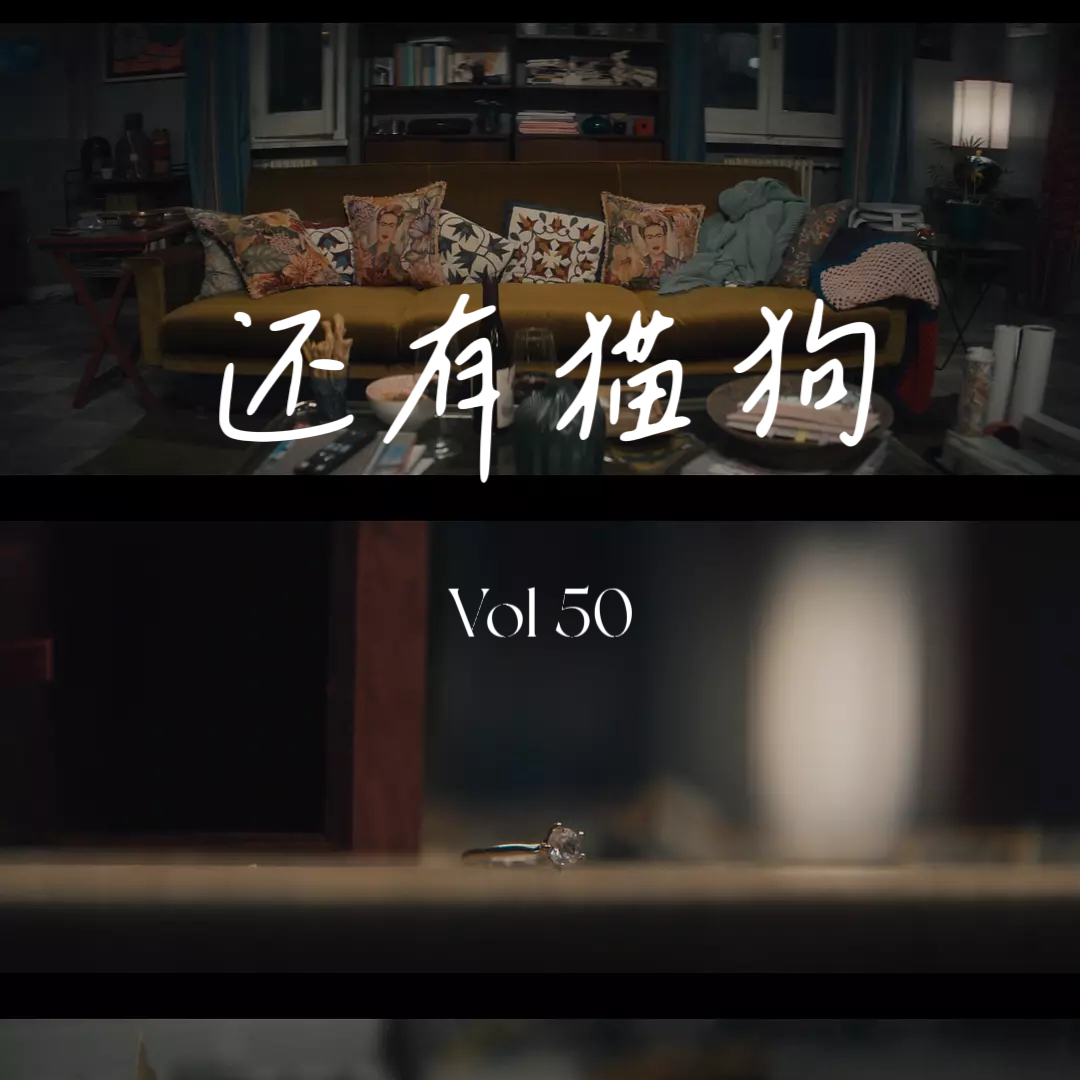 50 约会而已，有这么难？ episode artwork