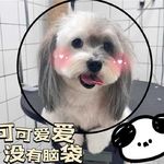 利小喵喵