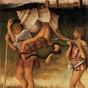 15.户外，寄居蟹的脱壳时刻