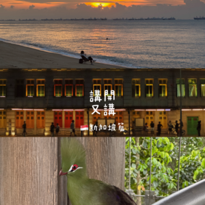 #33 一个人的solo trip，新加坡短途游：爽！（粤语）