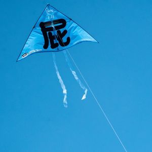 大顺是秀气的大哥哥