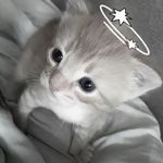 天使用户0929