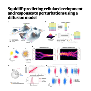 277-Squidiff: Predicting Cellular Responses