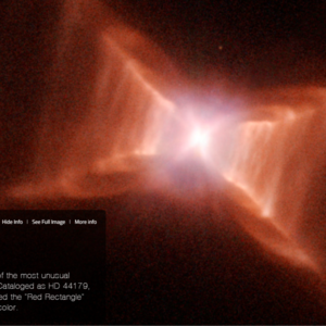 对话Carrie | 进入公益组织的金融生/职业选择/探索世界/友宝女/追星