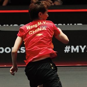 陈玘教练怒怼饭圈滚出乒乓 终于有人这么说了