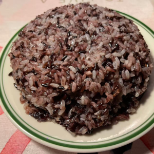 苏州吴江的老镇源包圆了我的一天肠胃满足