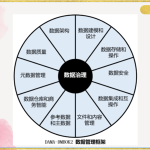 数据治理体系-Dama车轮图、数据治理指南
