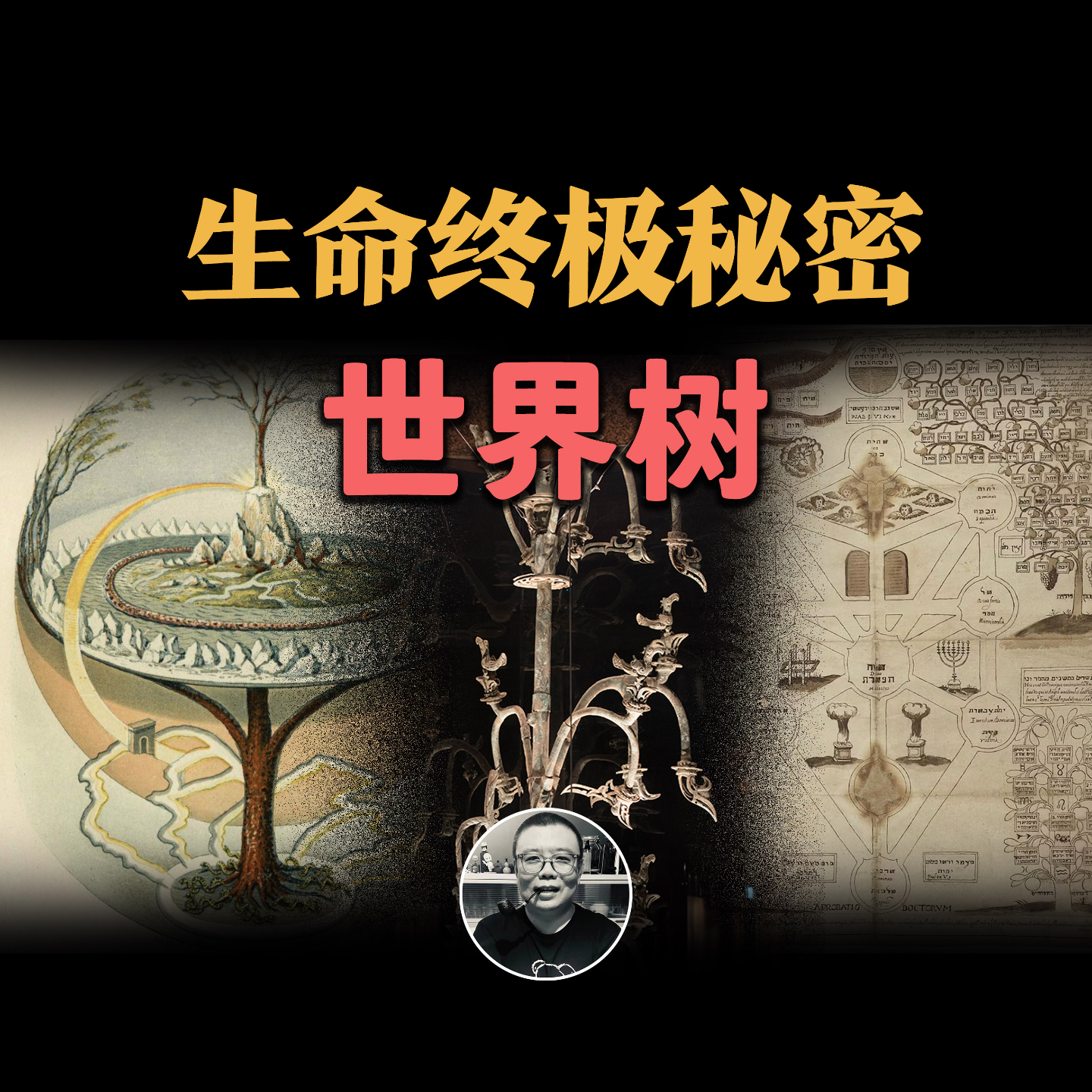 cover of episode 世界树，为什么全人类共用一个设定？