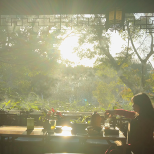 Ep03 喝茶随谈 编剧的纠结 心在岩石上生长