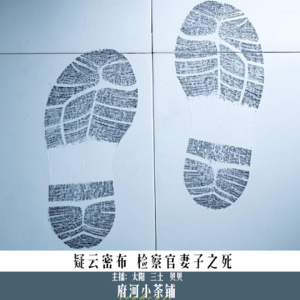 疑云密布 检察官妻子之死