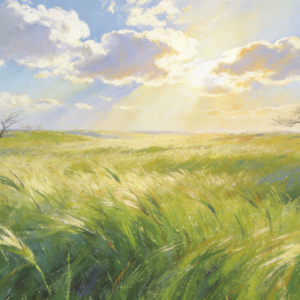 周末禅修班|是“迷信”还是“新仪式感”