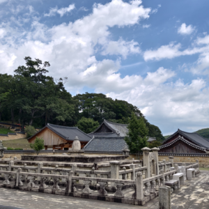 No 189. 收官韩国千年之旅：通度寺 & 金海