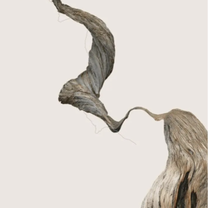 木质元素主题香水合辑