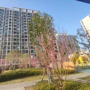 踩了20个保租房项目，我感觉可以在上海租一辈子房