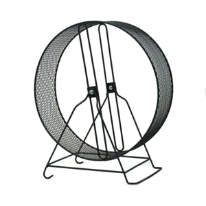 思人生|跑轮就只能用来跑吗？活着就得奔跑吗？