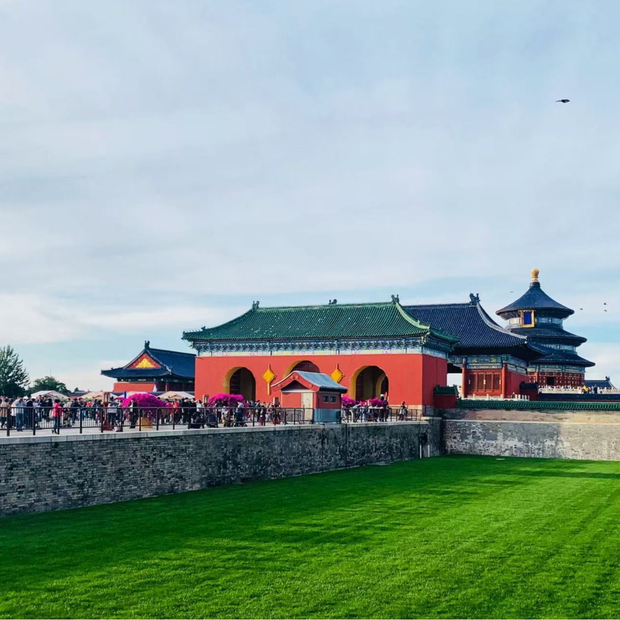 麦麦之声 | M&M studio